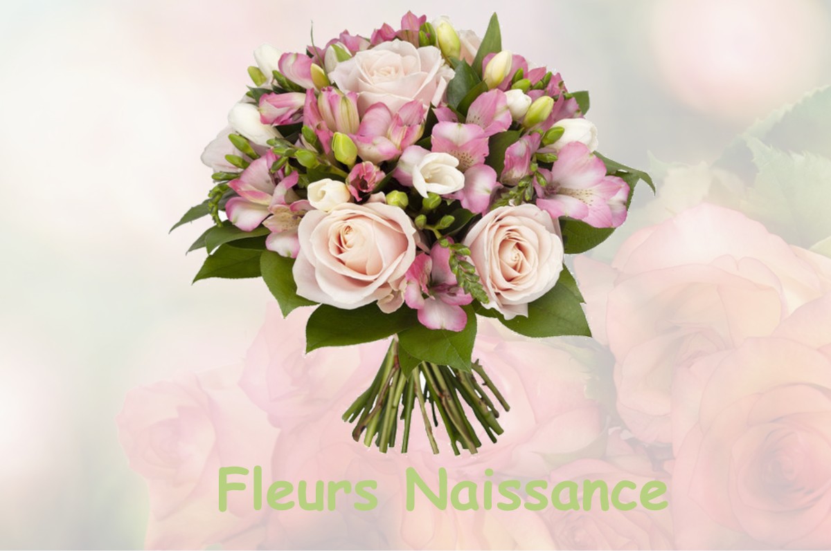 fleurs naissance THIGNONVILLE